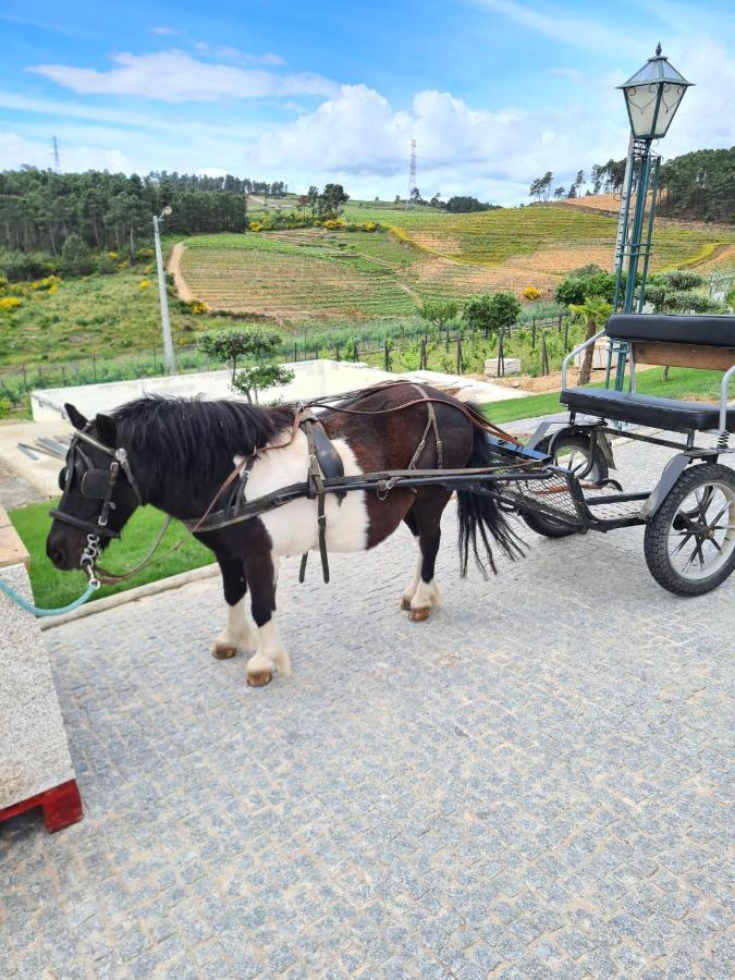 Quinta Da Laceira - Douro Valley - Alojamento Local Vila Real Esterno foto